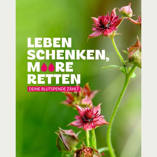 Kampagnenmotiv, Design: Annica Lill, Less is lovable